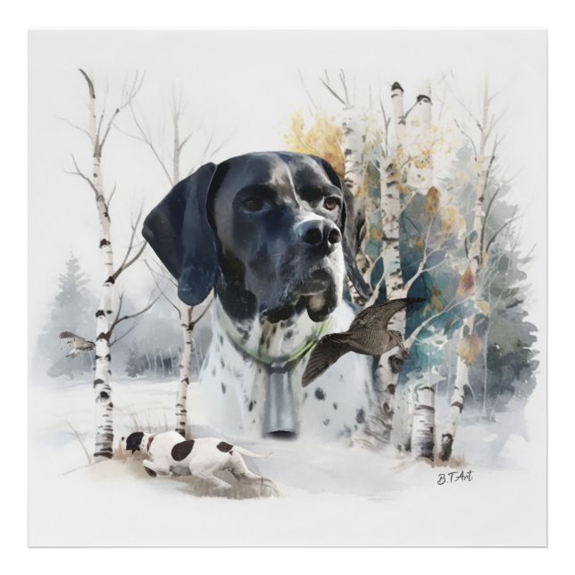 Impression Photo Pointeur Anglais , Saison de chasse à la bécasse , (Devant)