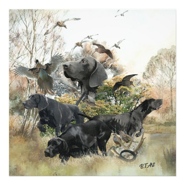 Impression Photo Pointeur court allemand (Devant)