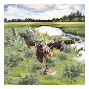 Impression Photo Pointeur court allemand