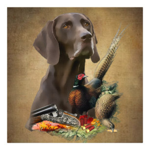 Impression Photo Pointeur Raccourci allemand GSP