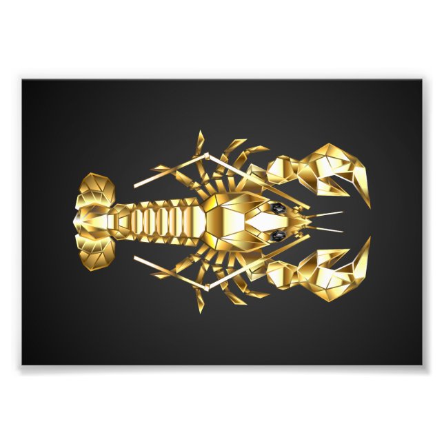 Impression Photo Poisson à langouste polygonale dorée sur noir (Devant)