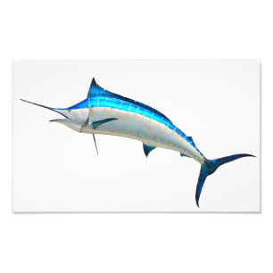 Impression Photo Poisson Blue Marlin