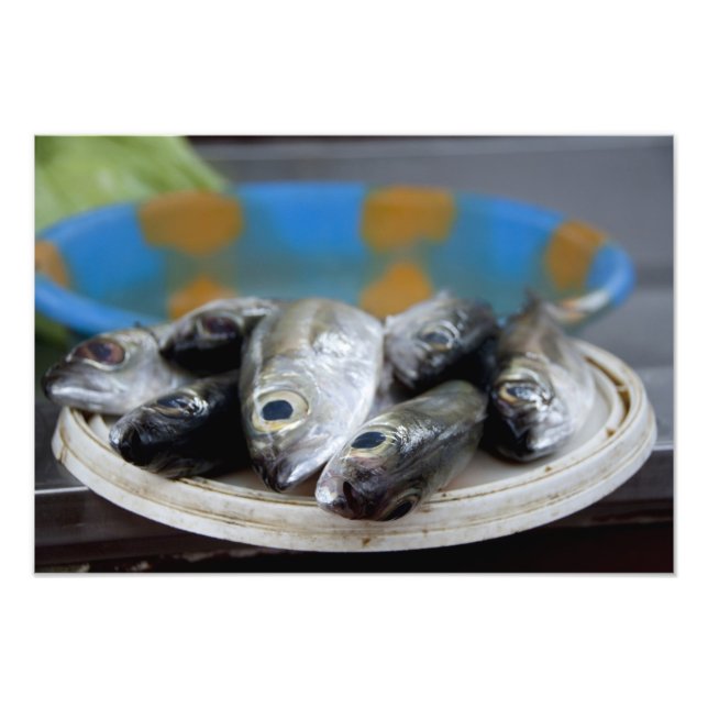 Impression Photo Poisson frais sur le marché aux poissons Mercado d (Devant)