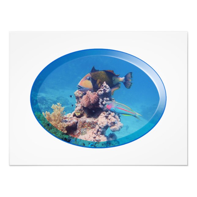 Impression Photo Poisson-verge à la barrière de corail - Design pho (Devant)