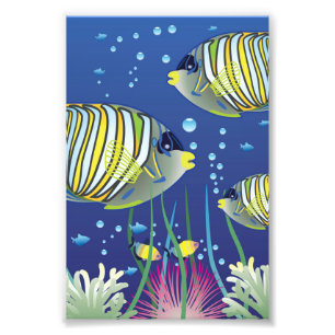 Impression Photo Poissons tropicaux illustrés