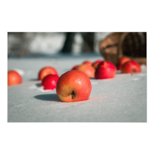 Impression Photo Pommes sur la neige (Devant)