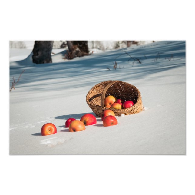 Impression Photo Pommes sur la neige (Devant)