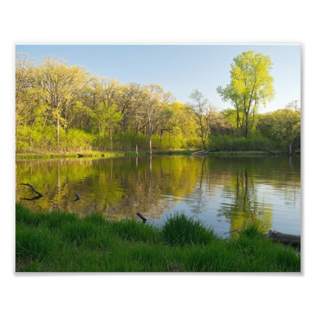 Impression Photo Pond et Forêt luxuriante de Battle Creek Park (Devant)