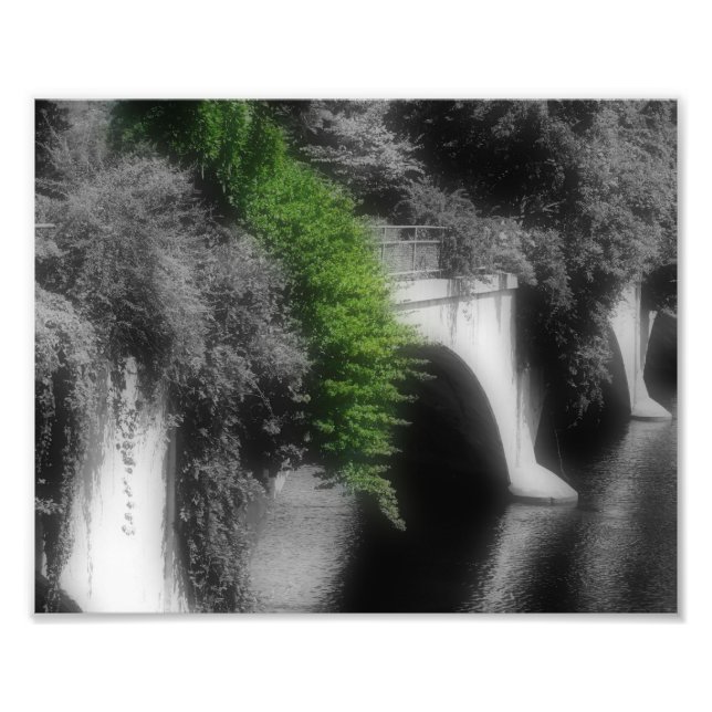 Impression Photo Pont De Fleurs Couleur Partielle 8x10 (Devant)