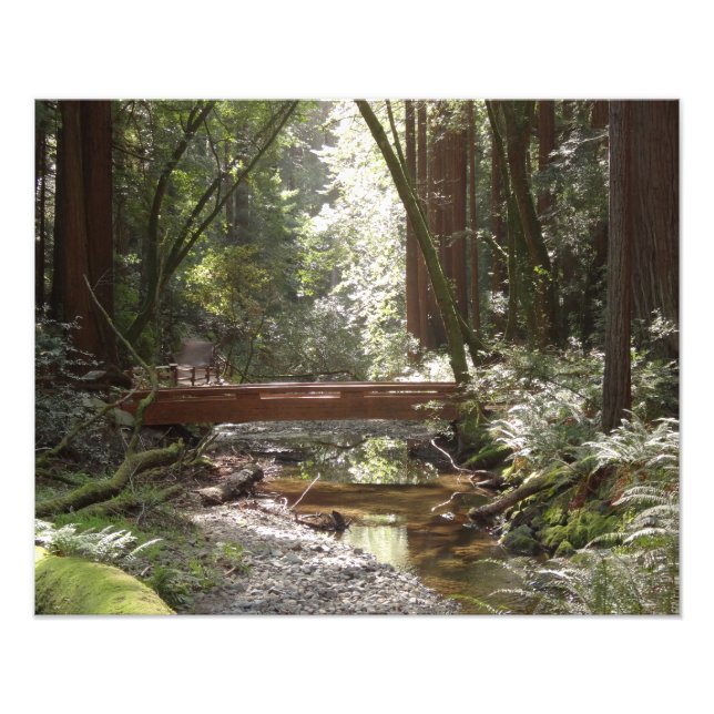 Impression Photo Pont de Muir Woods II (Devant)
