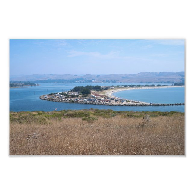 Impression Photo Port de Bodega et parc Doran (Devant)