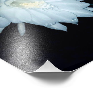 Impression Photo Portait du berceau de moïse