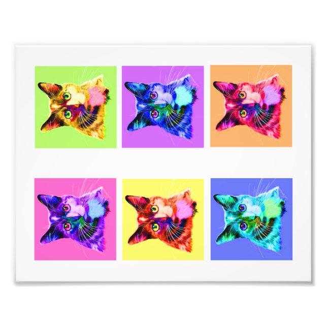 Impression photo Portrait arc-en-ciel/chat blanc 8 (Devant)