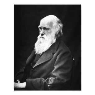 Impression Photo Portrait de Charles Darwin