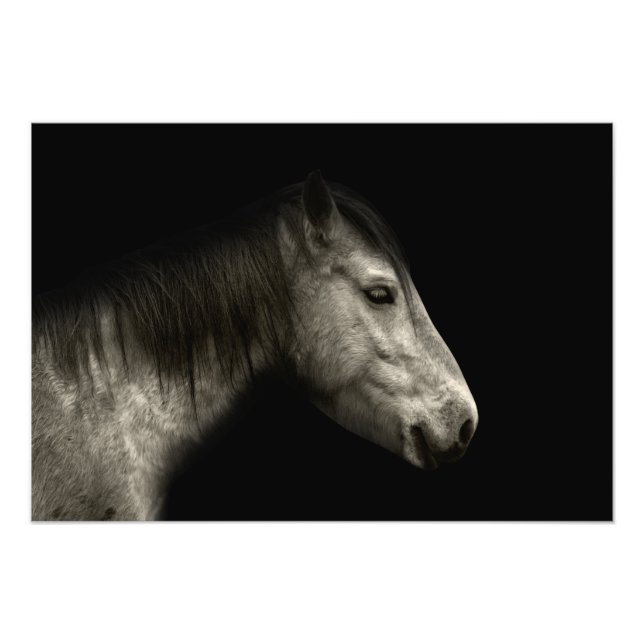 Impression Photo Portrait de cheval (Devant)