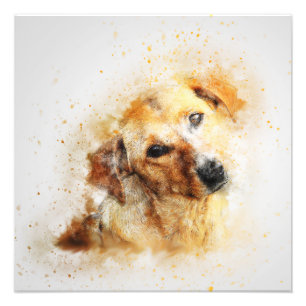 Impression Photo Portrait de chien Animal de compagnie Art Abstrait
