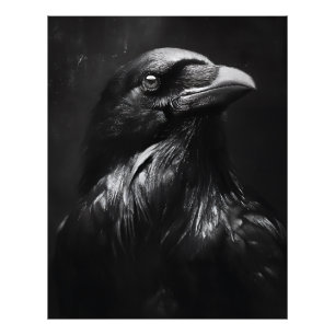Impression Photo Portrait de corbeau monochrome