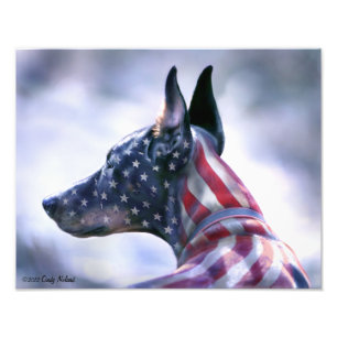 Impression Photo Portrait de dobermann de drapeau des Etats-Unis