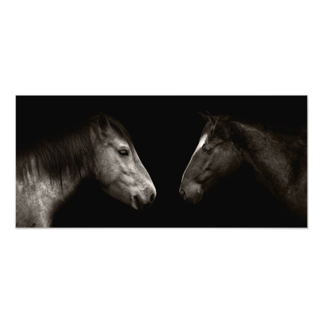 Impression Photo Portrait des chevaux (Devant)
