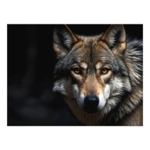 Impression Photo Portrait du loup