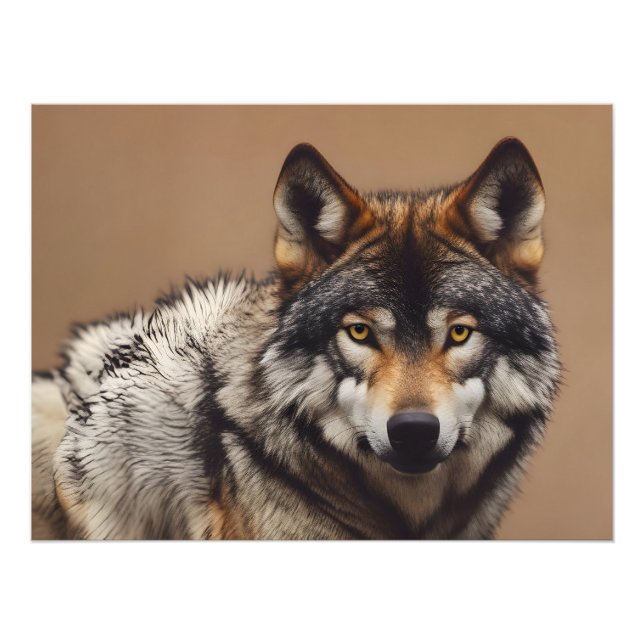 Impression Photo Portrait du loup (Devant)