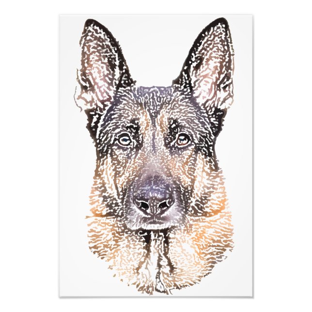 Impression Photo Portrait d'un chien berger allemand croquis couleu (Devant)