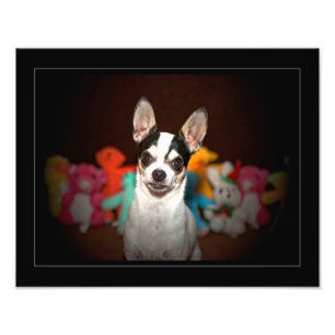 Impression Photo Portrait d'un chihuahua