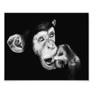Impression Photo Portrait d'un chimpanzé de penseur