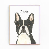Portrait personnalisé Boston Terrier