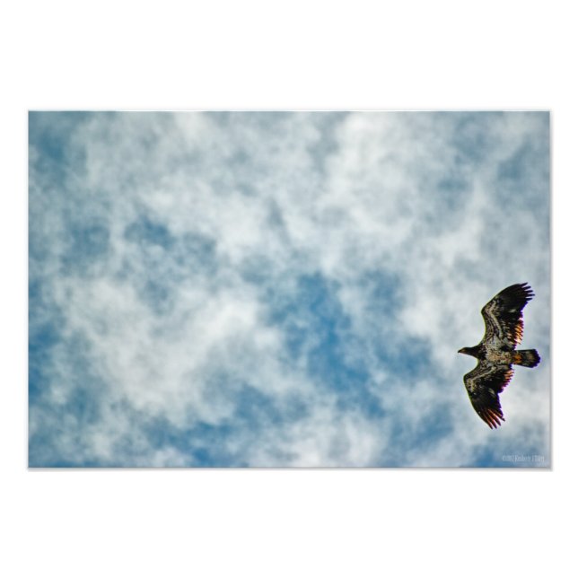 Impression Photo Possibilités à venir (Devant)