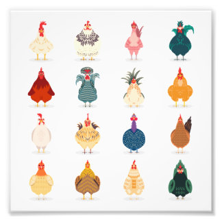 Impression Photo Poulet mou