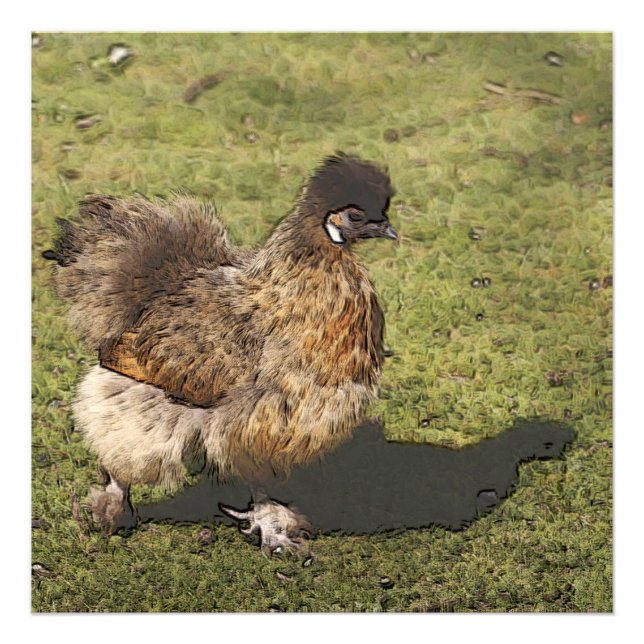 Impression Photo poulet toy (Devant)