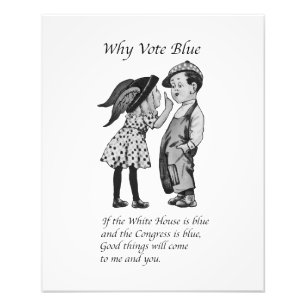 Impression Photo Pourquoi voter Totally Blue en 2024