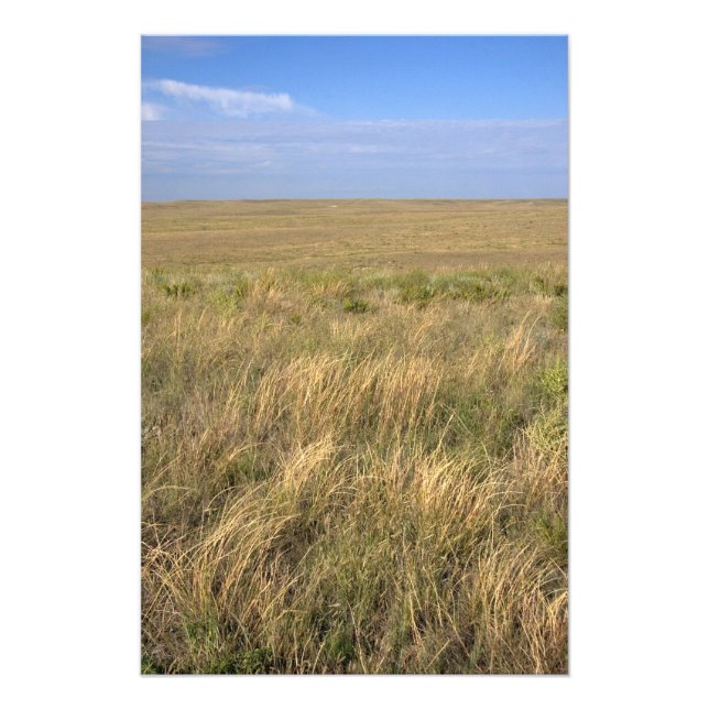 Impression Photo Prairie de prairie à l'est de Sidney, Nebraska. (Devant)