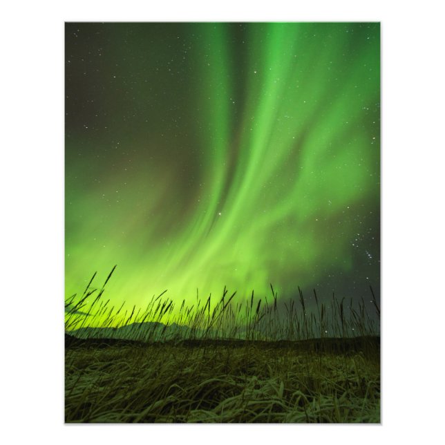Impression Photo Prairies Aurora (Devant)