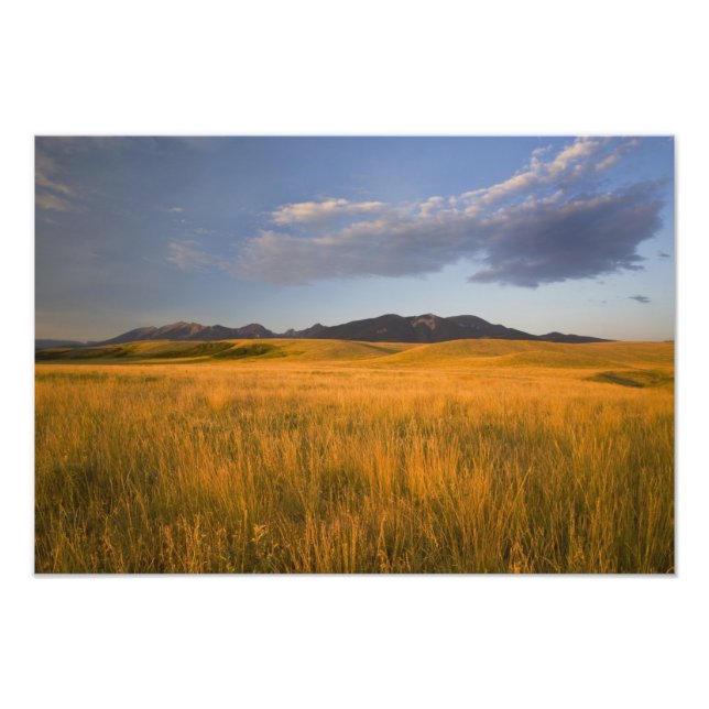 Impression Photo Prairies dans les contreforts de (Devant)