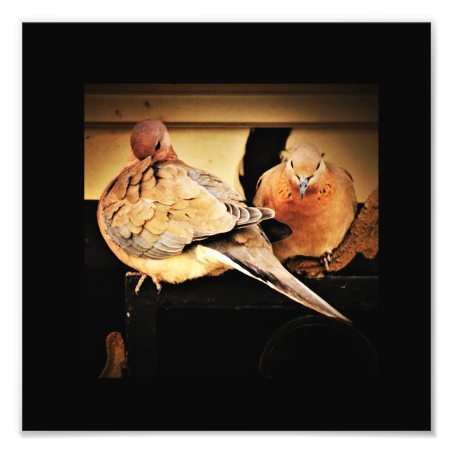 Impression Photo Préface (Devant)