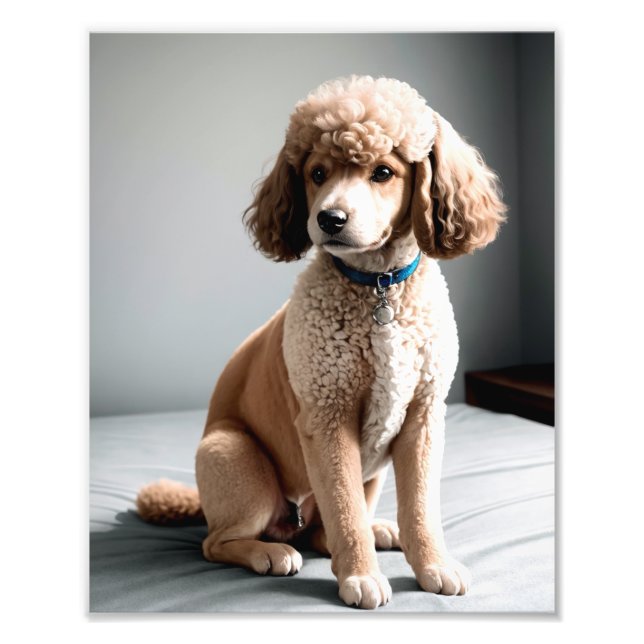Impression Photo Premium Fine Art Dog Photography for Pet Lovers (Devant)