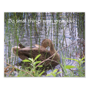 Impression Photo Prévenir Le Canard Parmi Les Rousses.