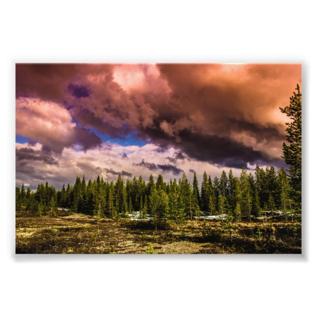 Impression Photo Profond dans les forêts du nord (Devant)