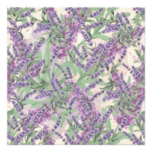 Impression Photo Profusion de Lavande Poussiéreuse Florale Rustique
