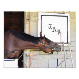 Impression Photo Programme-cadre