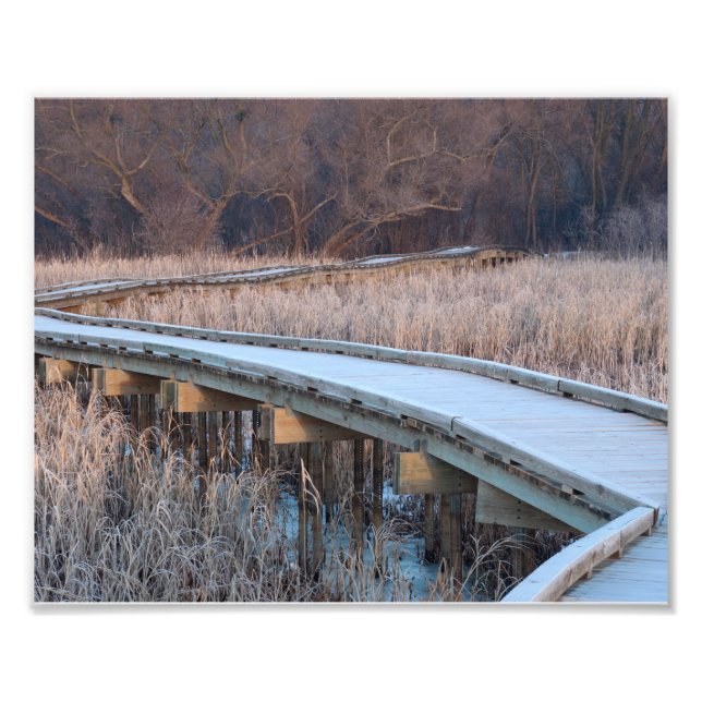 Impression Photo Promenade en bois dans les bois (Devant)