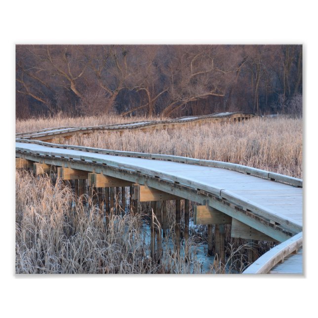 Impression Photo Promenade en planches dans les bois (Devant)