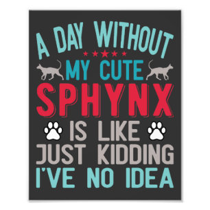 Impression Photo Propriétaire Canadien De Chat Sphynx Sans Cheveux 