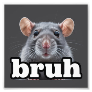 Impression Photo Propriétaire de rat fantaisie Mème Bruh Amoureux d