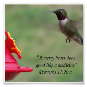 Impression Photo Proverbes des colibris 17:20 Bible Verse Photograp