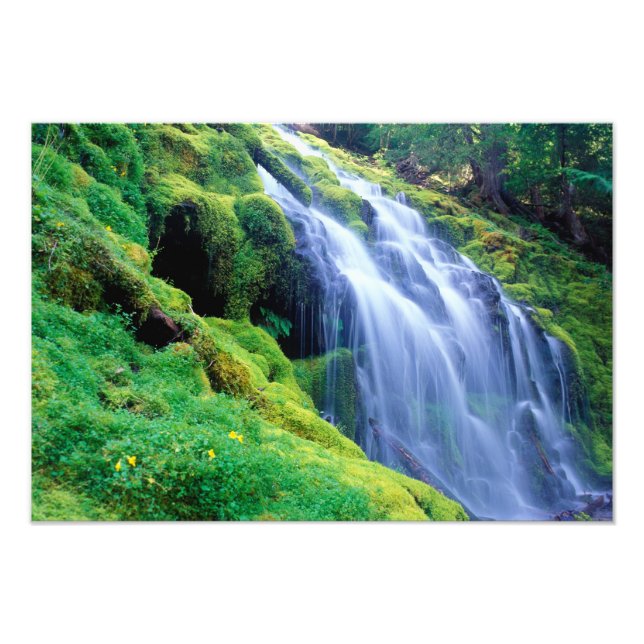 Impression Photo Proxy Falls dans les Cascades centrales de l'Orego (Devant)