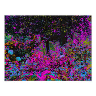 Impression Photo Psychédélique rose chaude et noir du jardin Sunris