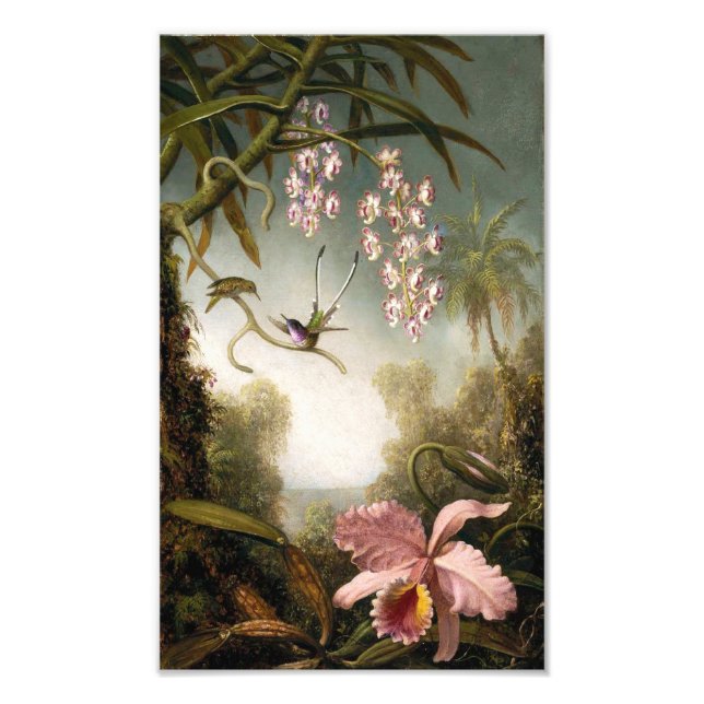 Impression Photo Pulvériser les orchidées avec les colibris (Devant)